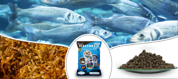 Biomix - Image 2