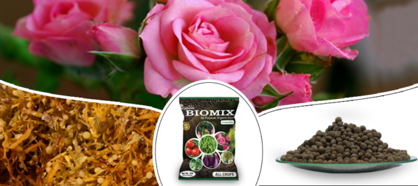 Biomix - Image 2