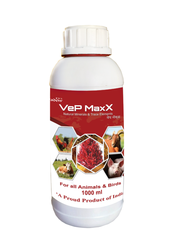 Vep Maxx