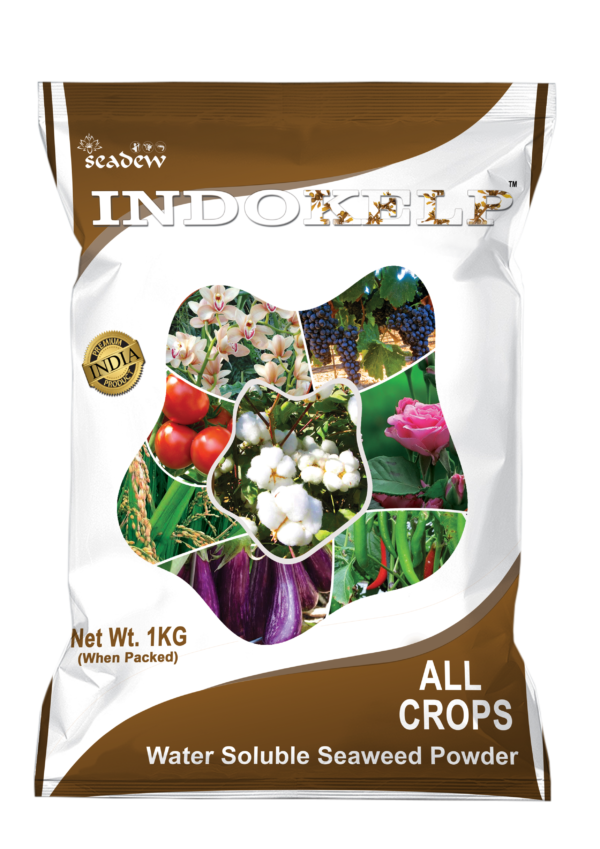 Indokelp