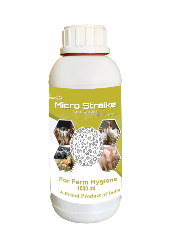 MICRO STRAIKE