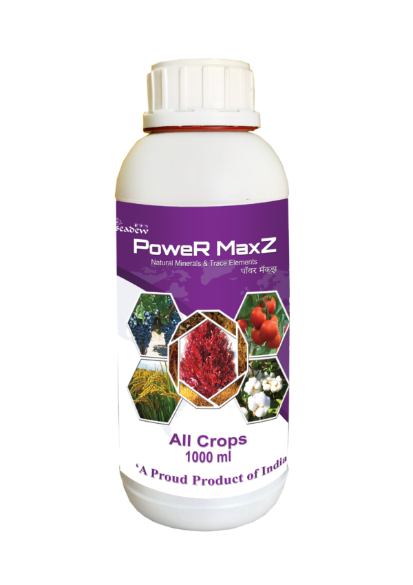 Power Maxz